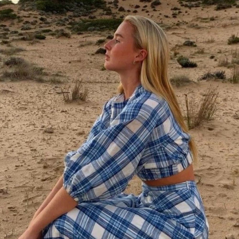 NWOT DISSH AYDEN BLUE PLAID LINEN SLEEVED CROP - 4 / BLUE - Picture 3 of 7